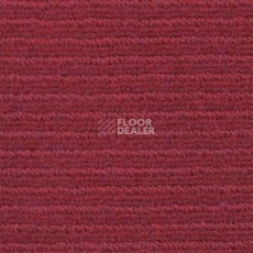 Ковролин Radici Solo Ruby 1589 фото 1 | FLOORDEALER